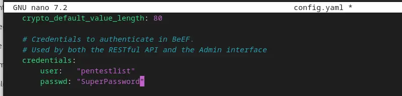 setup-run-beef